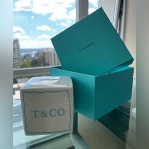 BRAND NEW- Tiffany Blue Line Bank